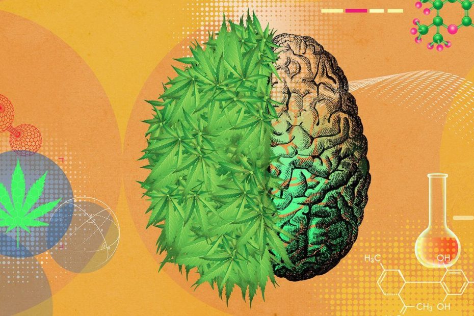 Marijuana Mental Health Effects