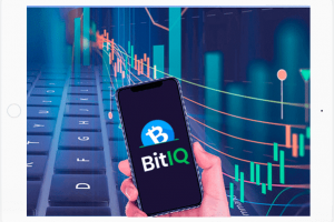 Rules When Trading With BitIQ
