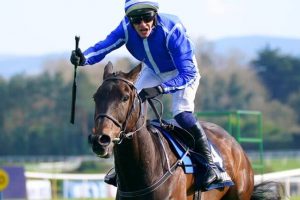 Punchestown Champion Chase