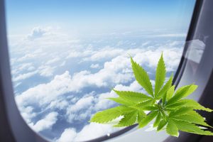 Traveling With Cannabis