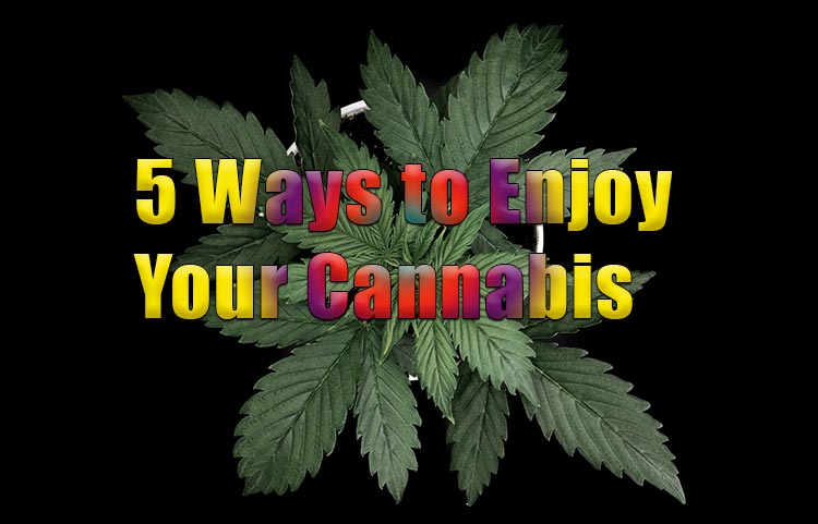 Ways to Enjoy Cannabis