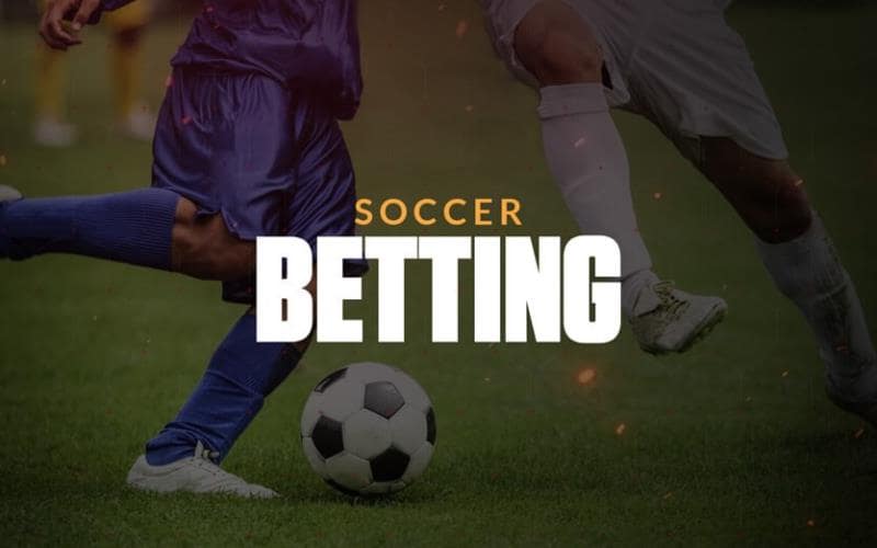 Importance of sports Betting in Soccer Fan Culture