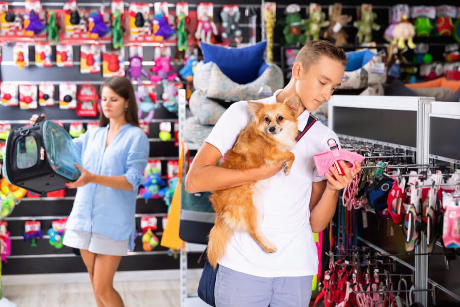 Reasons Why Shopping at a Pet Store is the Best Way to Find Your New Furry Friend