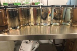 Buy Delta 8 Distillate Bulk