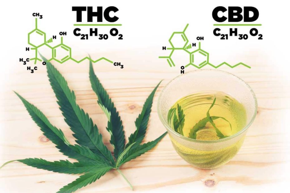 Differences Between THCV and CBD