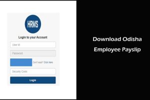 HRMS Odisha Login Official Portal