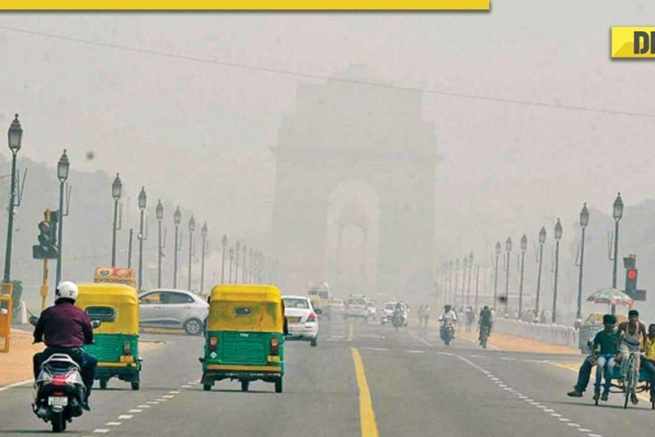 Stay Safe from Air Pollution in Delhi NCR