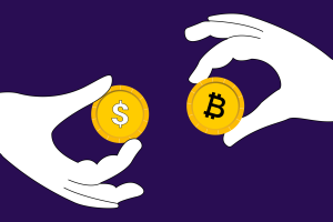 The Journey of Fiat To Crypto