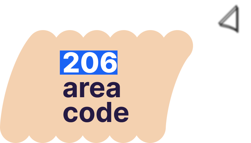 How to Get the 206 Area Code Number