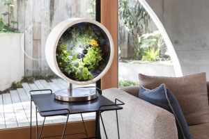 What is a Smart Garden and How to Start It