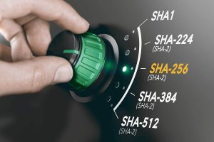 A Closer Look at SHA-256