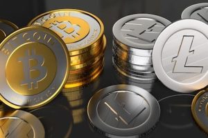 Comparative Analysis of Digital Gold and Silver Bitcoin and Litecoin