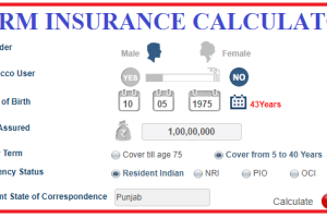 Role of Term Insurance Calculator in Business