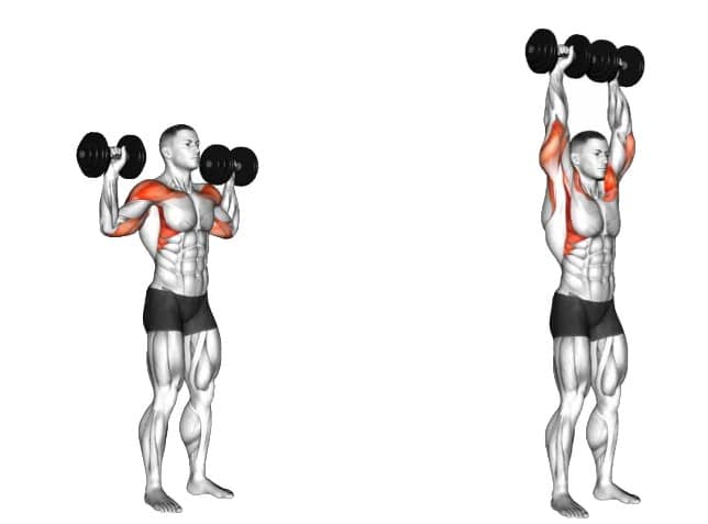 Standing overhead dumbbell presses