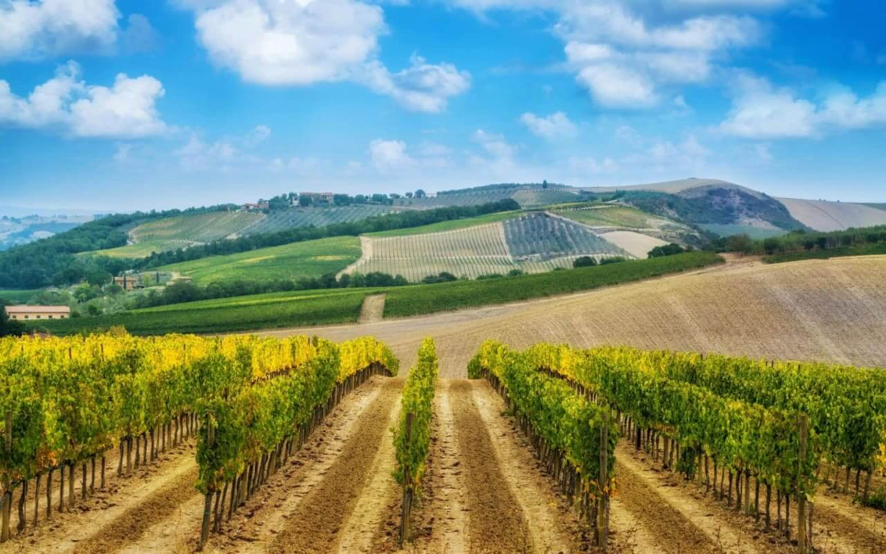 The Pros and Cons of Owning a Winery