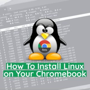 Install Linux on Chromebook Using Linux