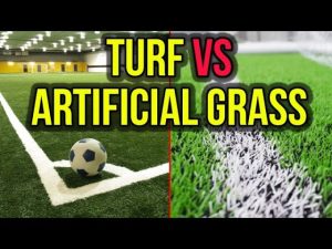 Artificial Turf vs Artificial Grass
