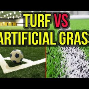 Artificial Turf vs Artificial Grass