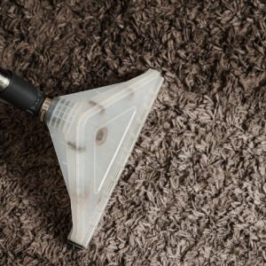 How to Prevent Carpet Fibres from Flattening Over Time