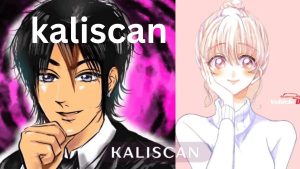 Kaliscan.io Guide