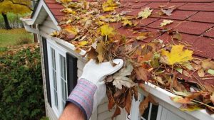 Problems Caused by Blocked Gutters Most Owners Miss