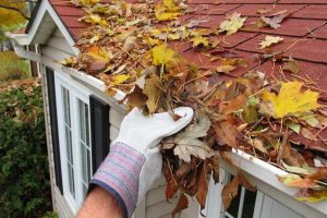 Problems Caused by Blocked Gutters Most Owners Miss