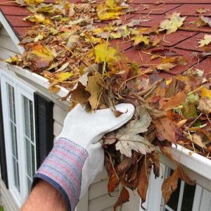 Problems Caused by Blocked Gutters Most Owners Miss