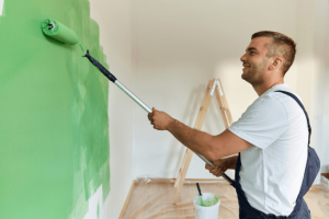 professional house painters