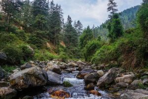 Jibhi to Manali Distance