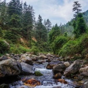 Jibhi to Manali Distance