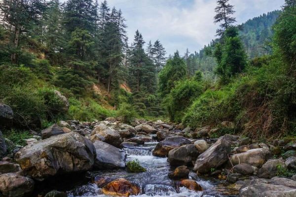 Jibhi to Manali Distance