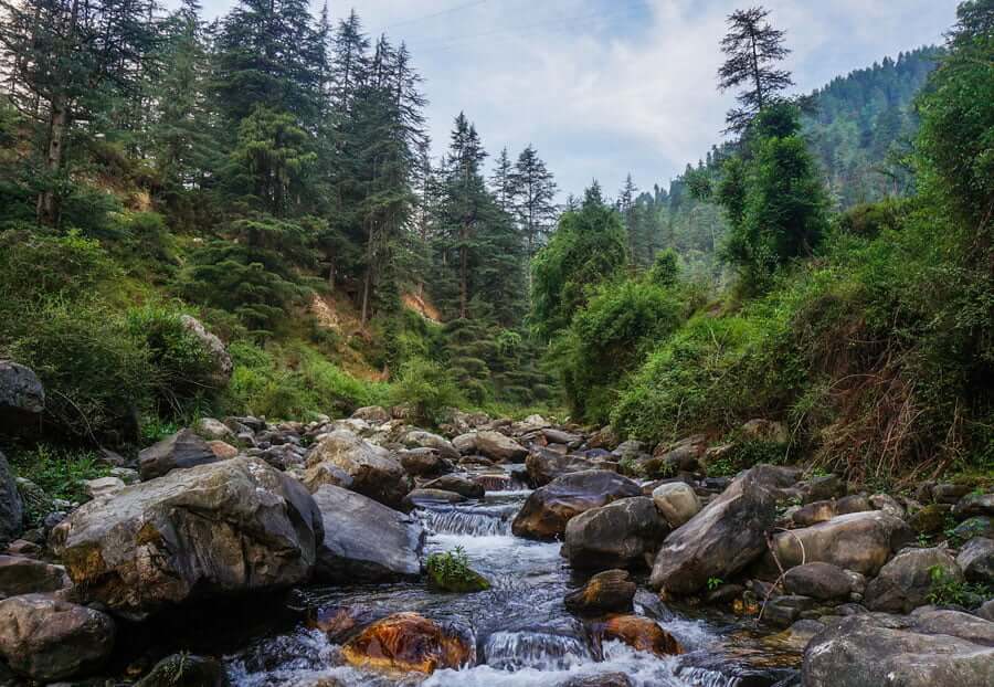 Jibhi to Manali Distance