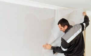 Questions to Ask Any Plasterer in Auckland Before You Hire
