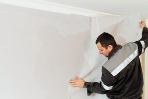 Questions to Ask Any Plasterer in Auckland Before You Hire