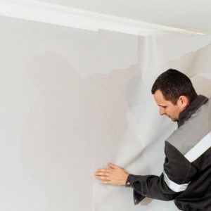 Questions to Ask Any Plasterer in Auckland Before You Hire