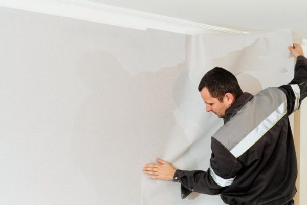 Questions to Ask Any Plasterer in Auckland Before You Hire