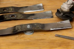 What a Mower Blade Reveals About Cut Quality